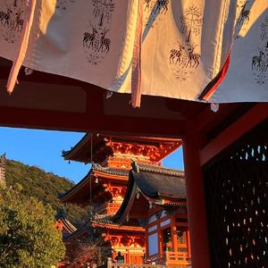 Vol.25 京都 | 去看樱花前，先听听这里的历史，以及寺庙、神社背后的