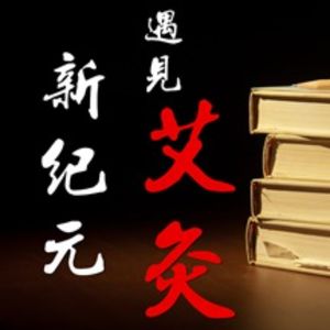 艾灸新纪元 | 凤凰梧桐专辑