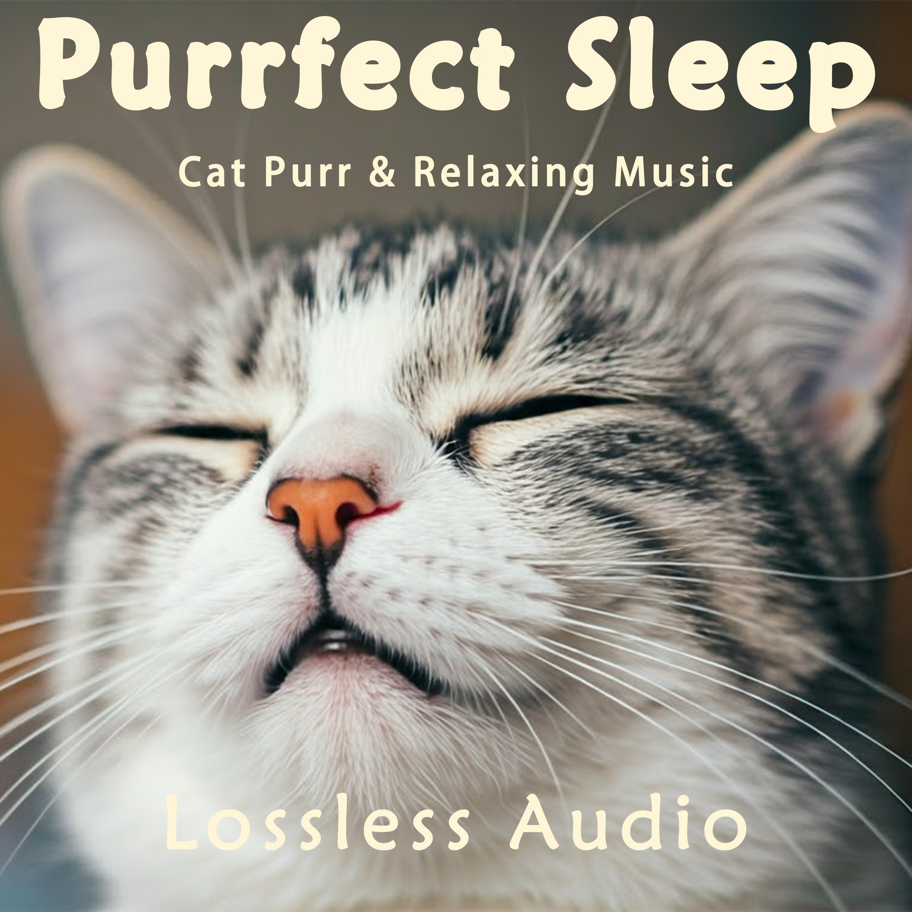 episode-cover