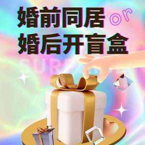 恋爱必知：婚前同居还是婚后开盲盒？