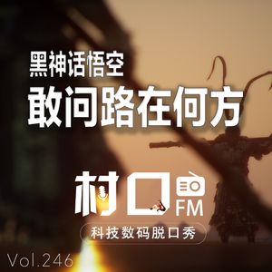 黑神话悟空 敢问路在何方 村口FM vol.246