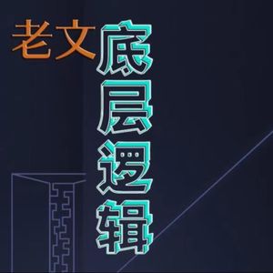 老文的底层逻辑2（畅听版）|堪透规律，升级认知