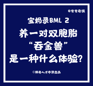 V26 宝妈录BML 2：养一对双胞胎“吞金兽”是一种什么体验？