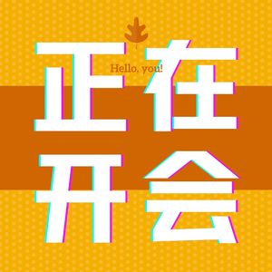 正在开会丨做不一样的播客丨真实表达