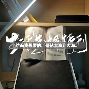 曲率飞船10：上了此岸还有彼岸，岸是上不完的 | 人生选择特刊01