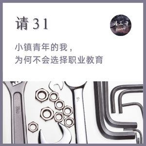 请31 - 小镇青年的我，为何不会选择职业教育