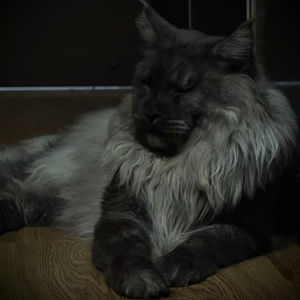 八方斋·难过听 | 心理学：ADHD·ASD