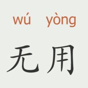 无用学大师