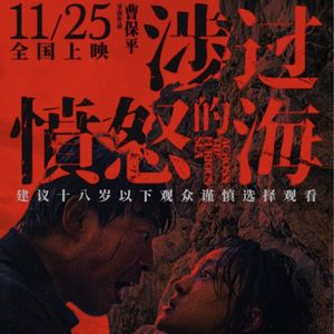 涉过愤怒的海:不是复仇爽片,是愤怒的好片