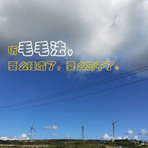 毛毛学法