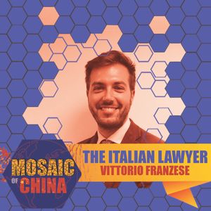 The Italian Lawyer (s02e27: Vittorio FRANZESE, Business Lawyer)
