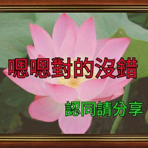 Vol.026 新年Flag果然又倒了，你觉得呢？