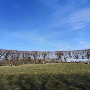 薄荷阳台冥想合辑