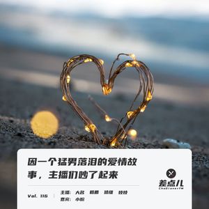 Vol. 116 因一个猛男落泪的爱情故事，主播们吵了起来 | 差点儿FM