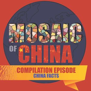 Top China Facts (Compilation 04: Mosaic of China, Season 02)