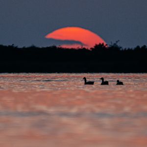 40. 夏日终结前的惆怅和人到中年的落寞是一样的