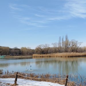 谈谈碇真嗣的原型人物，讲讲三岛由纪夫的《春雪》