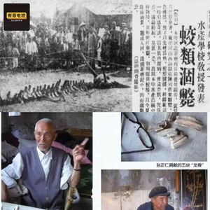 1934年营口坠龙的“真相”是什么？5个目击证人为何咬定那一定是龙？