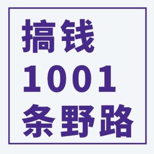搞钱1001种方式|普通人赚钱野路子|一人公司