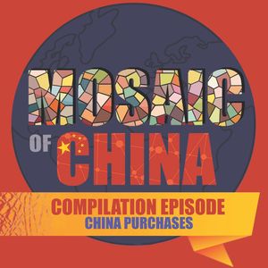 s02 Compilation: China Purchases