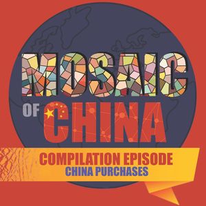 Top China Purchases (Compilation 05: Mosaic of China, Season 02)