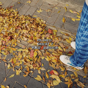 Vol.11-【闲扯淡】-爷青回：追剧回忆杀