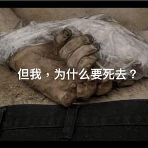 关于战争的诗——如果你满意，我们也满意；但我为什么要死？战争与结束+损失+弈棋者