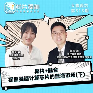 第313期 | 异构+融合，探索类脑计算芯片的蓝海市场（下）