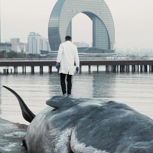 王一博、少林寺方丈和联合国网红争相参加的“拯救世界”大会是什么？Vol.74