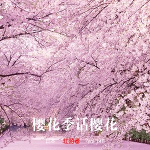 148 |日本| 樱花季话樱花 - 物哀、樱饼、赏夜樱和我们的花朝节