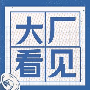 我在大厂看见了