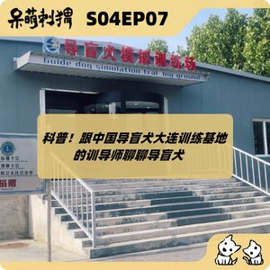 科普！跟中国导盲犬大连训练基地的训导师聊聊导盲犬