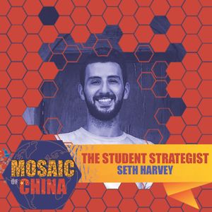 The Student Strategist (s02e19: Seth HARVEY, Education Coach)