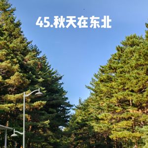 45.秋日特辑之东北溜达实录