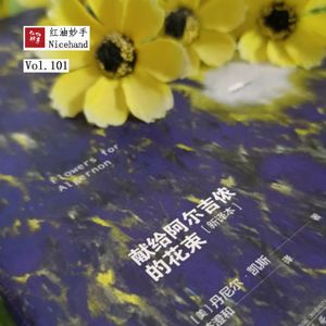 Vol.101 《献给阿尔吉侬的花束》：满纸荒唐言，谁解其中味