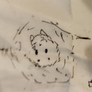 喝大了俱乐部