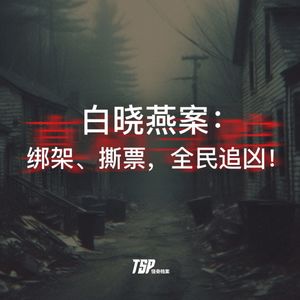 白晓燕案:绑架、撕票,全民追凶!