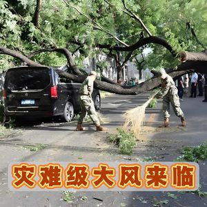 本轮大风延续到何时?关系个人安全有些事情一定要注意!