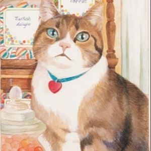 猫的故事，万物有灵系列再续温馨，吉米哈利的兽医生活