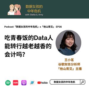 EP36 吃青春饭的data人能转行越老越吃香的会计师吗？