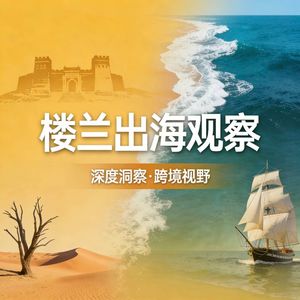 楼兰出海观察