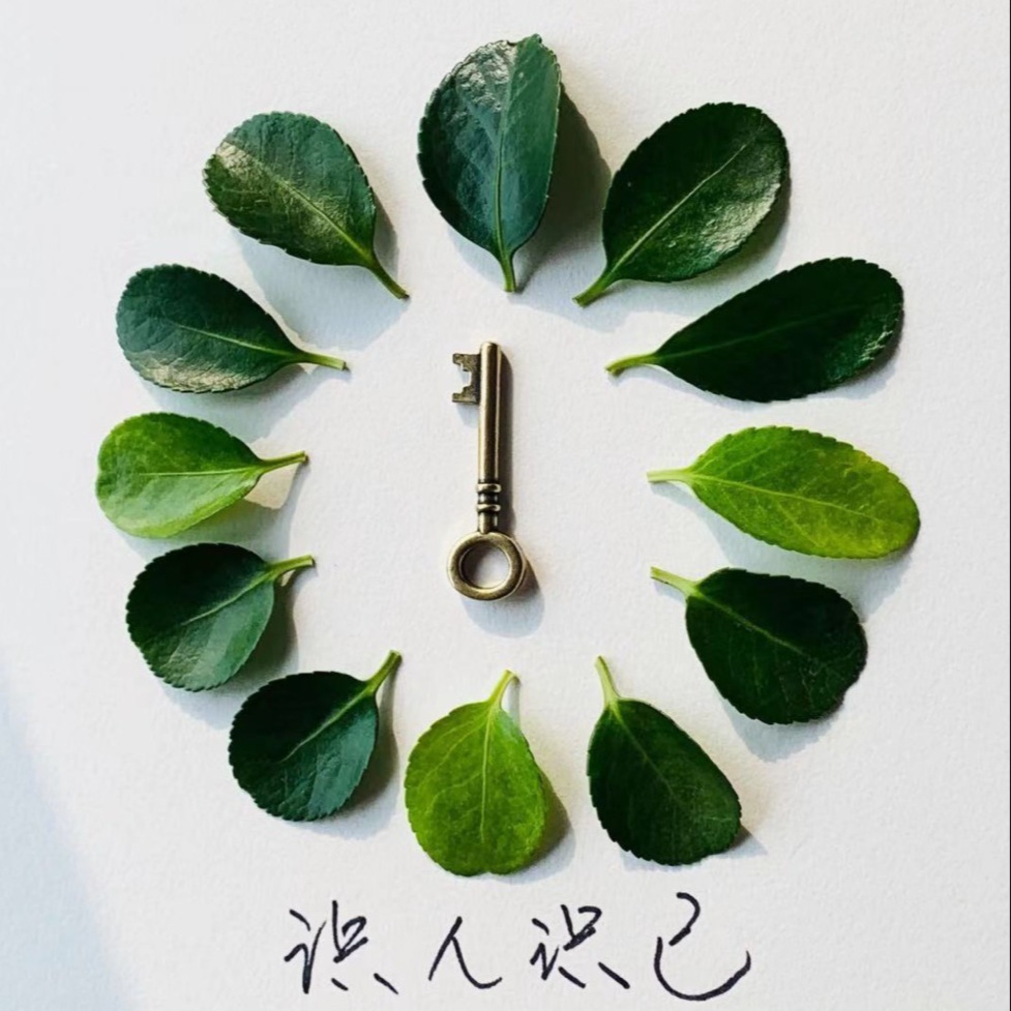 113 为啥不能把话说明白,聊聊职场的“阐释性劳动” - 识人识己 | 小宇宙 - 听播客,上小宇宙