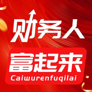 闪闪发光的财务人
