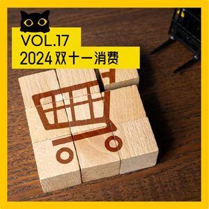 No.17 双11的第16年：可以买贵的，但不可以买贵了