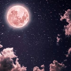 深夜默言情