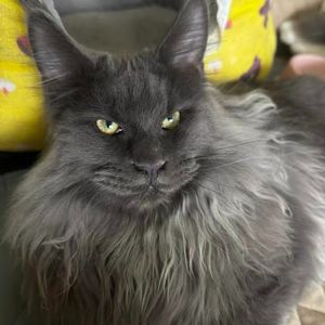 八方斋·迷茫听 | 传统国学：山医命卜相