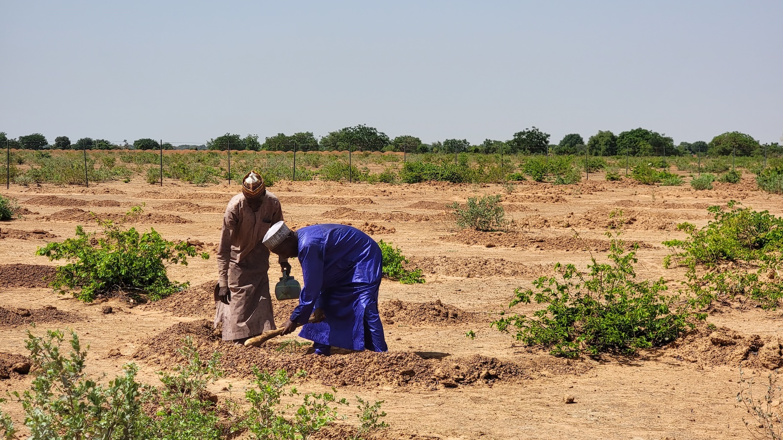 Three-quarters of the world's land is drying out