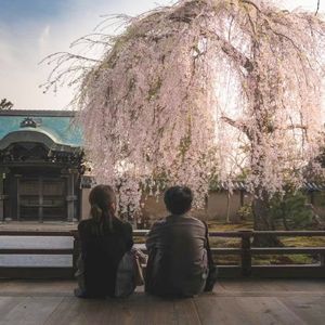 设计也读博？还去的是日本？~ 五花八门