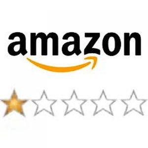 #23 向人抛掷流星——谈蒂姆·高特罗的《书评的故事》