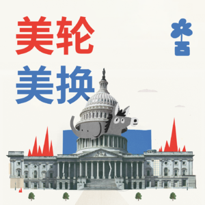 025 | 民主党全国代表大会和哈里斯的加冕 Democratic National Convention and Harris's Coronation